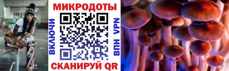 даркнет Telegram  Новомосковск  Галлюциногенные грибы мухоморы  цена  