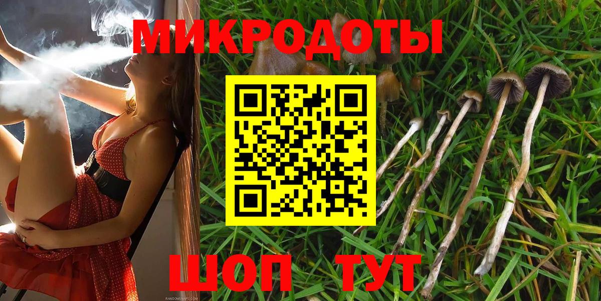 Псилоцибиновые грибы Psilocybine cubensis Новомосковск